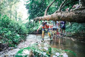 BIB: 
                            <button type="button" onclick="openModal(25451495)" class="btn btn-primary btn-sm float-right btn-popup" data-toggle="modal" data-target=".modal-high-quality">
                        <i class="fas fa-shopping-cart"></i> Add to Cart
                    </button>
                                            <button type="button" onclick="isThisMe(25451495, true)" class="btn btn-success btn-sm float-right btn-popup btn-isme hidden" data-toggle="tooltip" data-placement="bottom" title="นี่คือรูปของคุณใช่ไหม คลิกที่นี่เพื่อเอาเข้าอัลบั้ม">
                        <i class="fas fa-plus"></i> Add to album
                    </button>
                    <button type="button" onclick="isThisMe(25451495, false)" class="btn btn-warning btn-sm float-right btn-popup btn-isnotme hidden">
                        <i class="fas fa-ban"></i> Remove from album
                    </button>